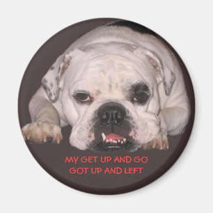 Bulldog Magnet