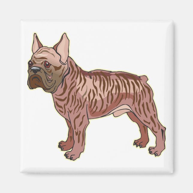 Bulldog Magnet (Vorne)