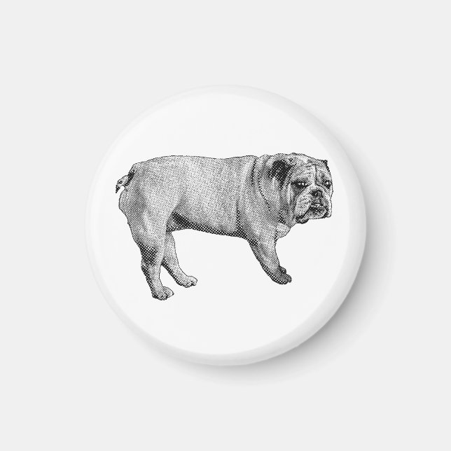 Bulldog-Magnet Magnet (Vorne)