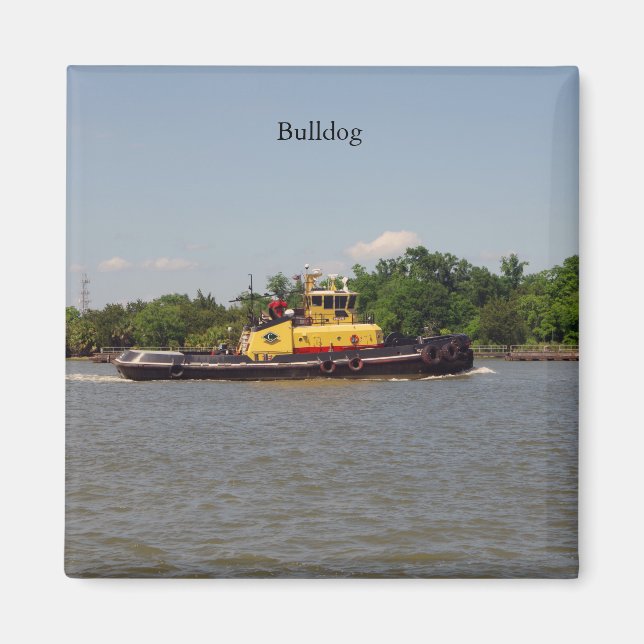 Bulldog-Magnet Magnet (Vorne)
