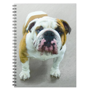 Bulldog-Malerei - Niedliche Original Hunde-Kunst Notizblock