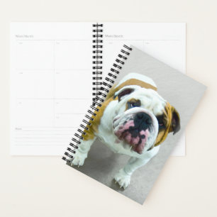 Bulldog-Malerei - Niedliche Original Hunde-Kunst Planer