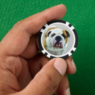 Bulldog-Malerei - Niedliche Original Hunde-Kunst Pokerchips