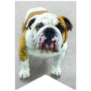 Bulldog-Malerei - Niedliche Original Hunde-Kunst Wimpelkette