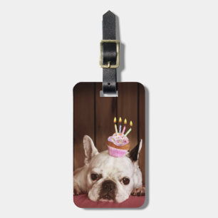 Bulldog mit Birthday Cupcake Gepäckanhänger