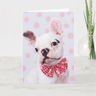 Bulldog mit Bow-Krawatte Karte
