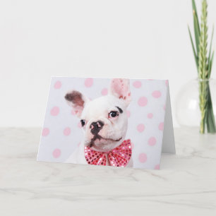Bulldog mit Bow-Krawatte Karte
