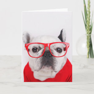 Bulldog mit Brille und Shirt Karte