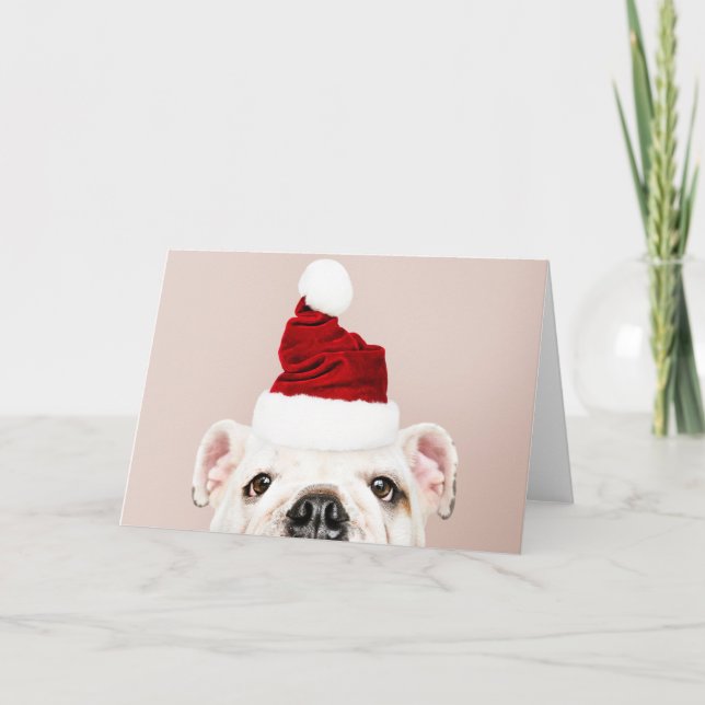BULLDOG MIT EINER Weihnachtsmannmütze GREETKARTE Karte (Vorderseite)
