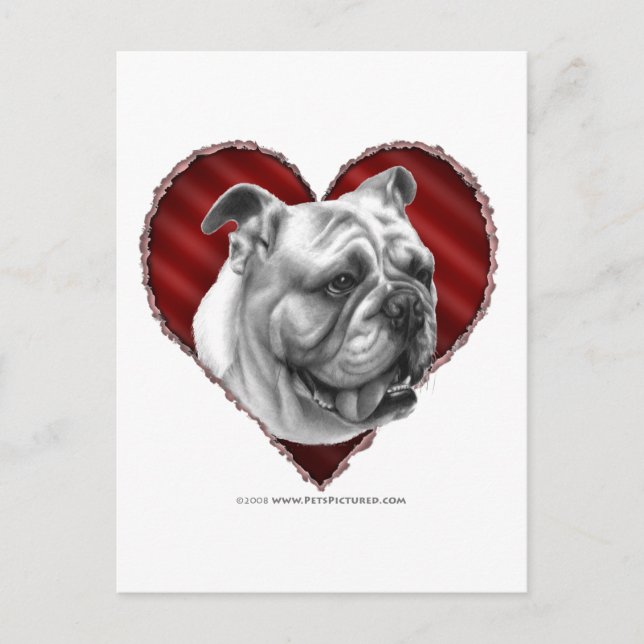 Bulldog mit Herz Postkarte (Vorderseite)