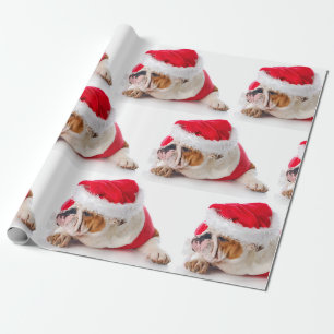 BULLDOG MIT Weihnachtsmannmütze CHRISTMAS Wrapping Geschenkpapier