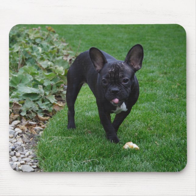 Bulldog Mousepad (Vorne)