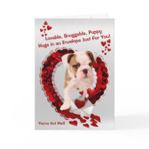 Bulldog New Puppy Number Three - Sie haben Mail Go