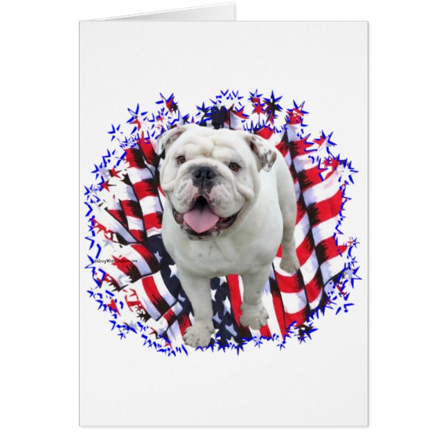 Bulldog Patriot (Vorne)
