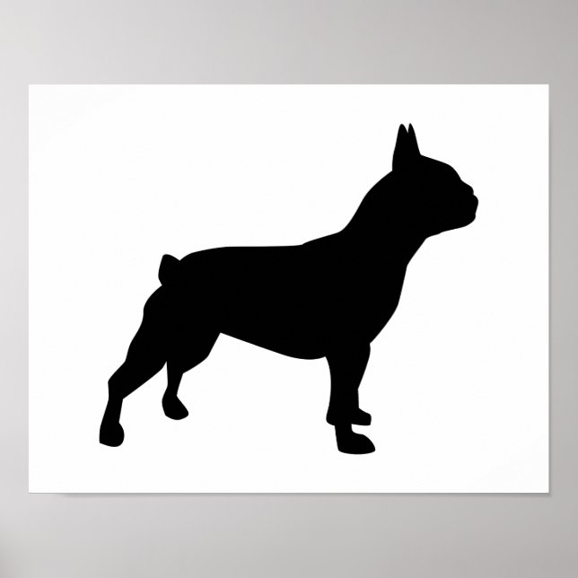 Bulldog Poster (Vorne)