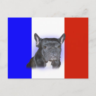 Bulldog Postkarte