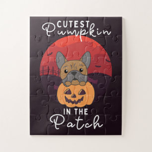 Bulldog Pumpkin Hunde Niedlicher Kürbis in den Pat