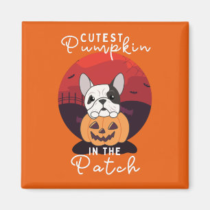 Bulldog Pumpkin Hunde Niedlicher Kürbis in den Pat Magnet