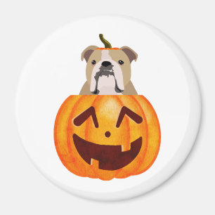 Bulldog Pumpkin Magnet