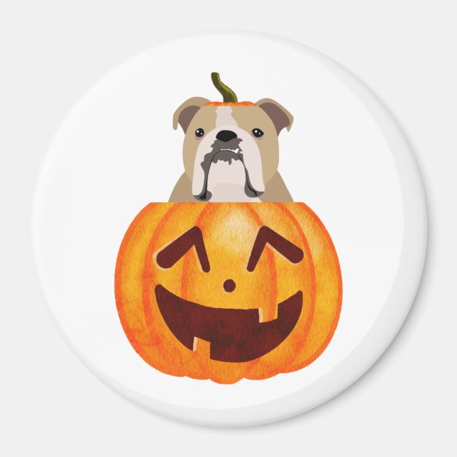 Bulldog Pumpkin Magnet (Vorne)