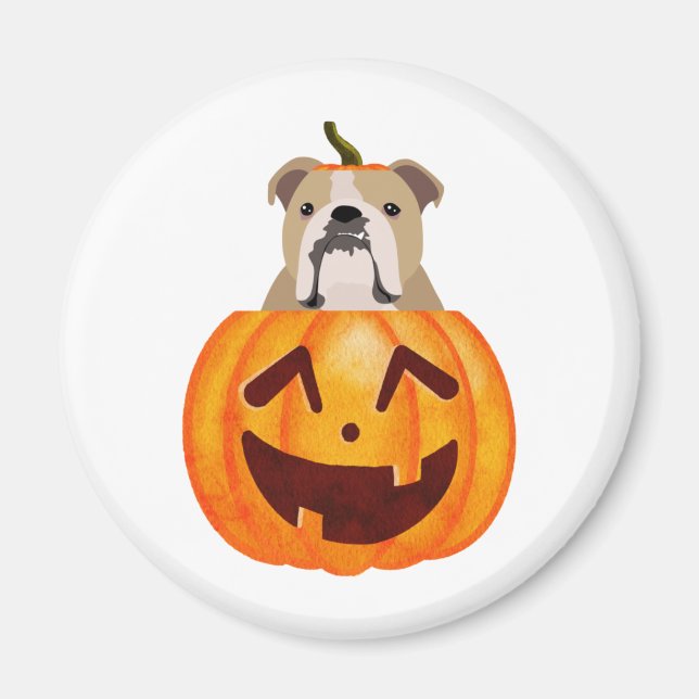 Bulldog Pumpkin Magnet (Vorne)