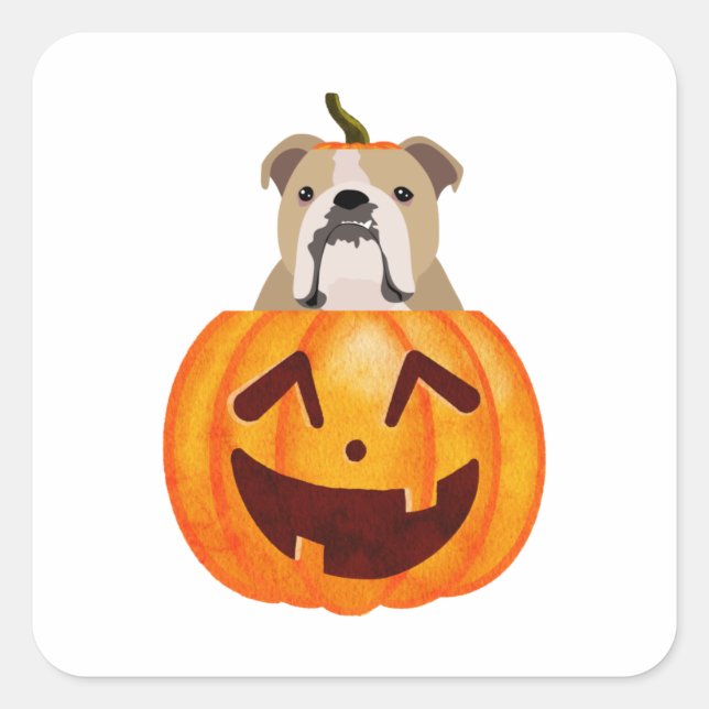 Bulldog Pumpkin Quadratischer Aufkleber (Vorderseite)