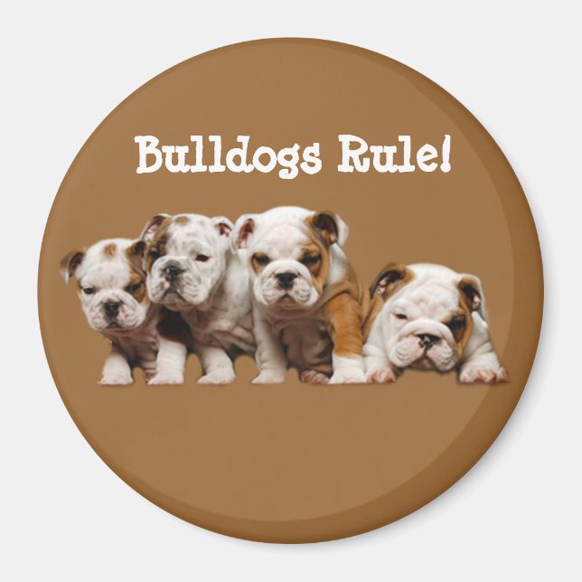 Bulldog Puppies Magnet (Devant)