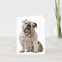 Bulldog Puppy Dog Liebe, Hallo, denken Sie an Sie