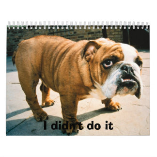 BullDog Pups Kalender