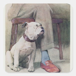 Bulldog Quadratischer Aufkleber