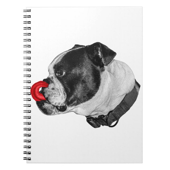 Bulldog-Rot-Akzent-Notizen Notizblock (Vorderseite)