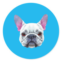Bulldog