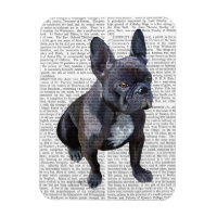 Bulldog Schlicht