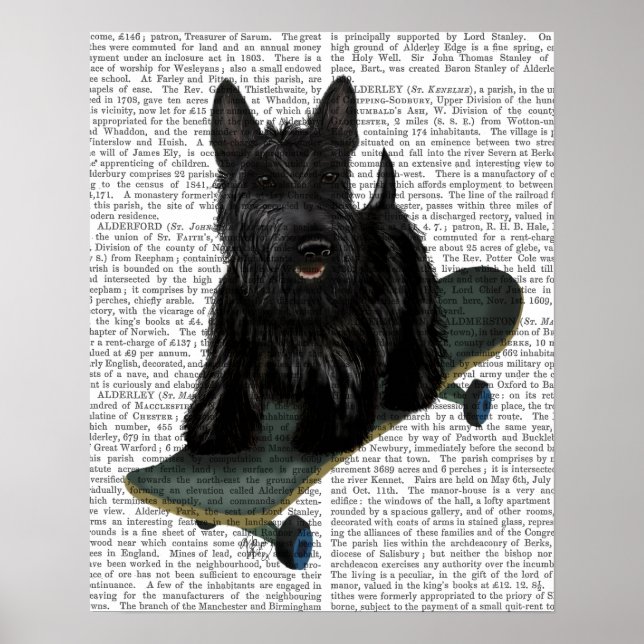 Bulldog Schlicht Poster (Vorne)