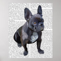 Bulldog Schlicht