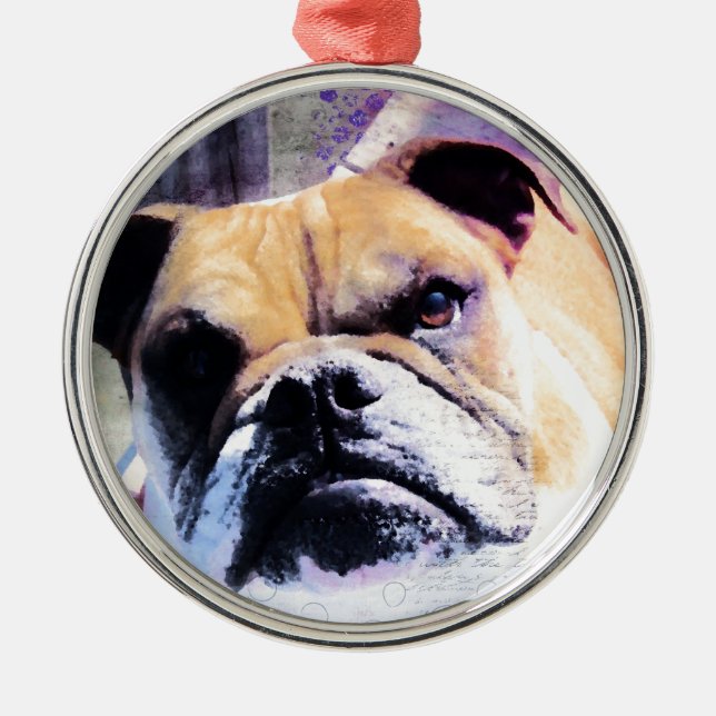 Bulldog Silbernes Ornament (Vorne)