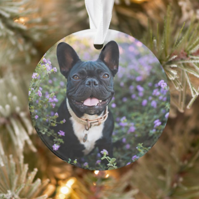 Bulldog-Stände in Blume Ornament (Baum)