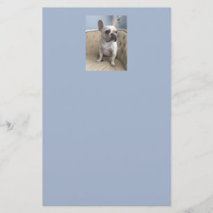 Bulldog-Stationäre Briefpapier