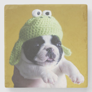 Bulldog Steinuntersetzer