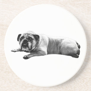 Bulldog Still Moments Getränkeuntersetzer