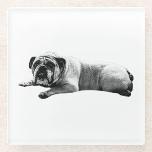 Bulldog Still Moments Glasuntersetzer