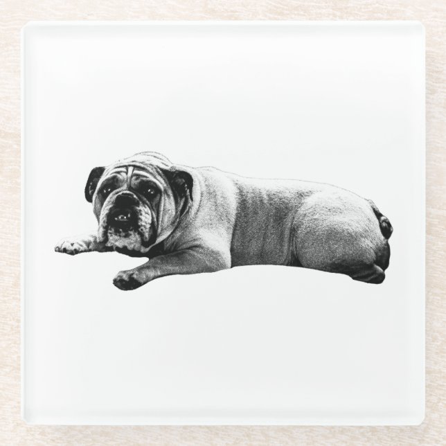Bulldog Still Moments Glasuntersetzer (Vorderseite)