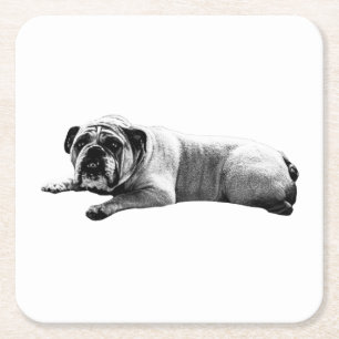 Bulldog Still Moments Rechteckiger Pappuntersetzer