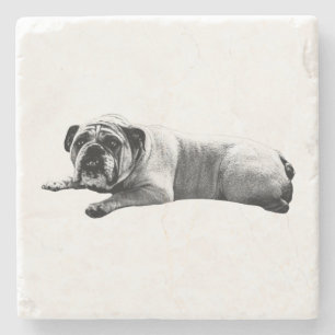 Bulldog Still Moments Steinuntersetzer