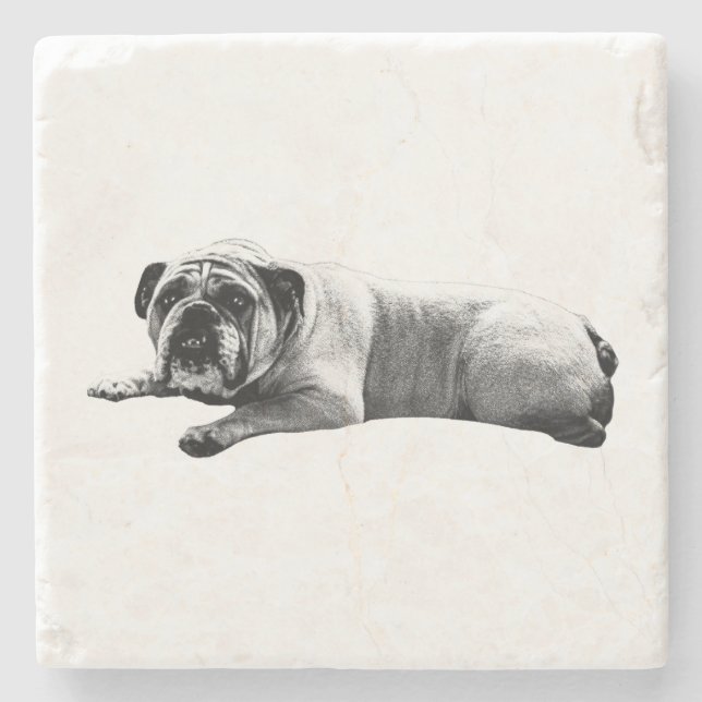 Bulldog Still Moments Steinuntersetzer (Vorderseite)