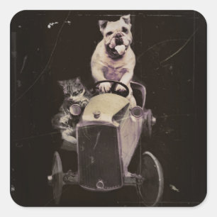Bulldog treibt Auto 1933 Quadratischer Aufkleber