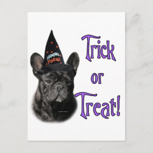 Bulldog Trick Postkarte