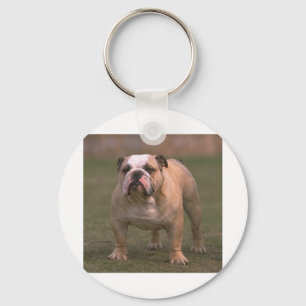Bulldog voll 2.png schlüsselanhänger