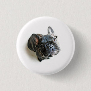 Bulldog Welpe Button