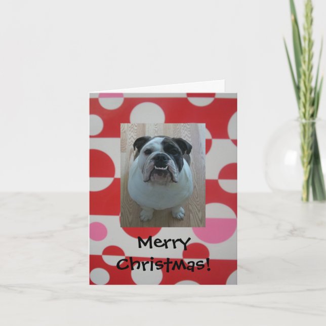 Bulldog Welpe Frohe Weihnachtskarten Feiertagskarte (Vorderseite)